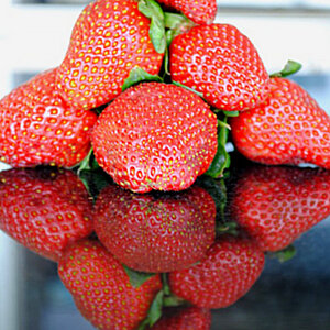 New season strawberries