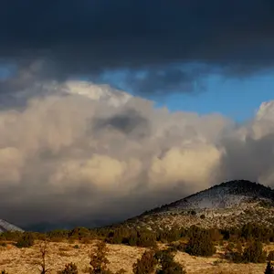Flagstaff