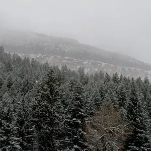 Snow Storm Wy