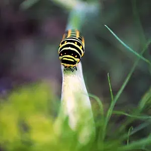 My Photography