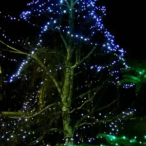 Snow Christmas