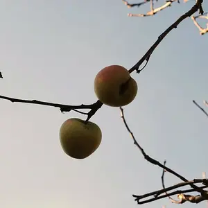 My photography