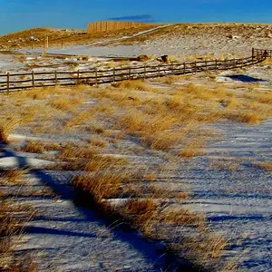 Fence