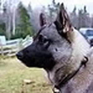 Gunnar