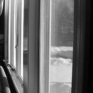 Window