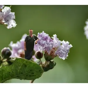 jakwiatek