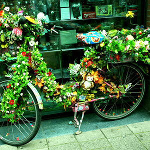 Peace Bicycle