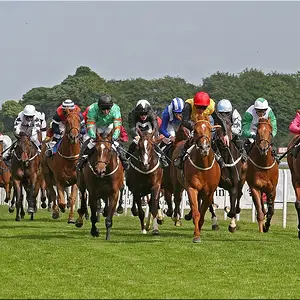 Haydock Park, UK