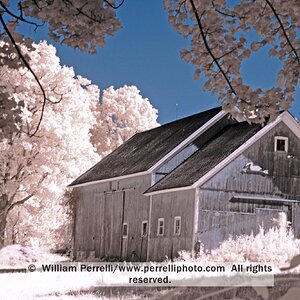 www.perrelliphoto.com