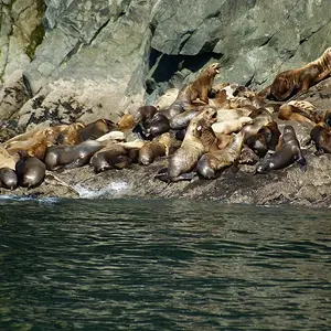 Alaska_2007-081_2_srz