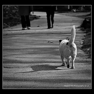 I'll Go At My Own Pace!!