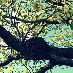 Signs of Spring