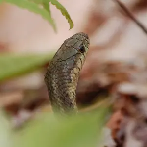 Sneakin' Around