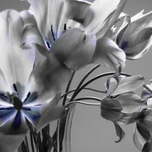 close-up_4