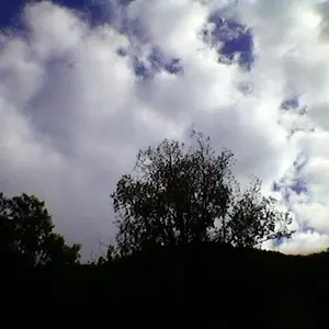 White clouds