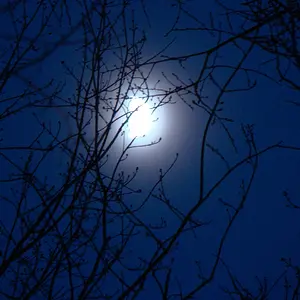 blue moon