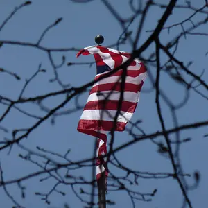 flag in the wind