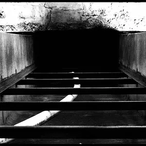 follow the worm