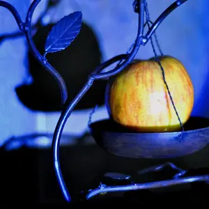 Spot light apple