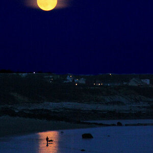 Moonrise over beach