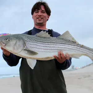 Striper