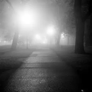 park fog