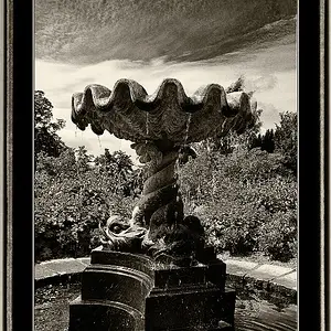 Fountain of Youth