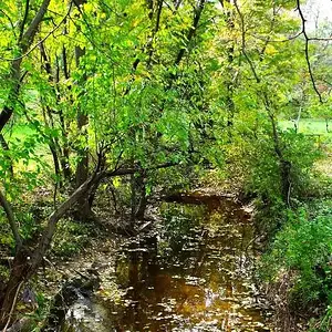 stream
