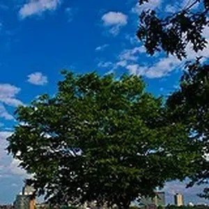 5903421180_d08143eabc_m