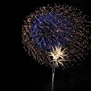Vashon Island Fireworkd 2011