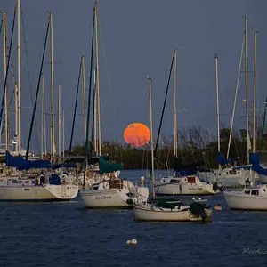 Moonrise