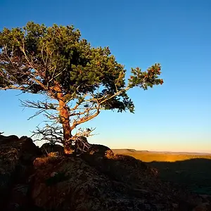 Hartman's Sunrise