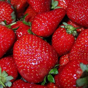 MayPhoto15-strawberries