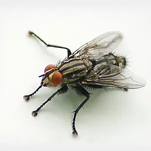 junephoto30-TheFly