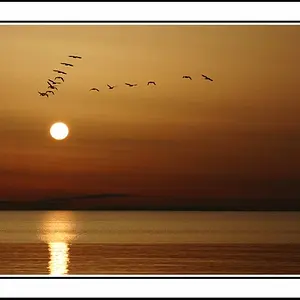 julyphoto26-Into the Sun