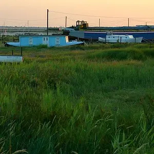 julyphoto34-Sea Of Green