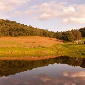 Fishin_pond