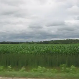 farmers crops