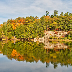 Autumn Colors