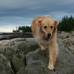 Echo at Port Clyde