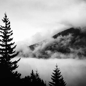 Hurricane Ridge WA