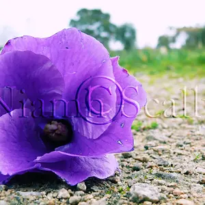 P1070328