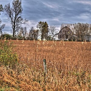 Farm Field - HDR