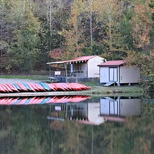 Trips 2011