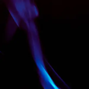 DSC_1984