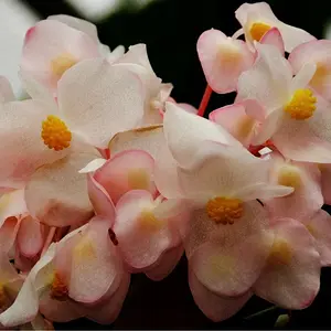 DSCN1412_