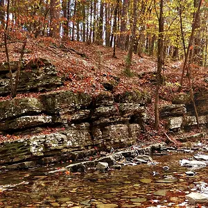 A wall of Nature