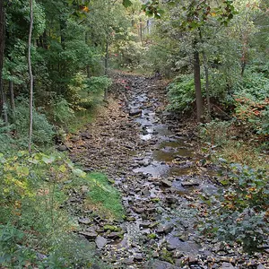 creek at the park