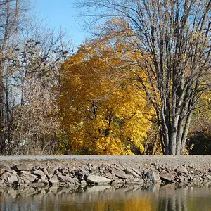 fall