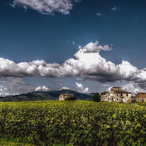 near cortona tuscany